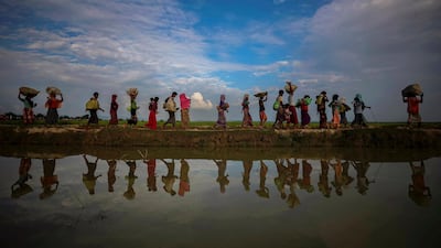 Rohingya refugees are reflected in rain water along an embankment next to paddy fields in Bangladesh. Reuters