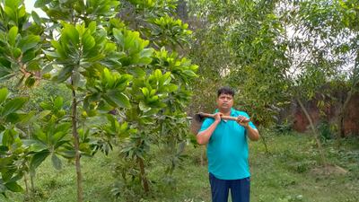 Indian engineer Amresh Samanth has planted tens of thousands of trees spread across 40 hectares of land. Photo: Amresh Samanth