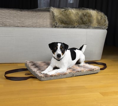 Padded foldable dog bed with faux-fur lining, Dh739. Photo: Kona Cave