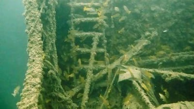 The 55-metre Ajman Glory was first discovered 12 years ago by Chris Lobel, a diver from the Desert Sport Diving Club in Dubai.