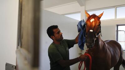 A groomer washes a horse at sunset in the Green Stables at Meydan Racecourse in Dubai. New laws issued by Sheikh Khalifa, President of the UAE, will help to combat use of banned substances at horse racing and equestrian events in the emirates. Sarah Dea / The National
