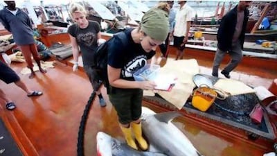 Rima Jabado has been cataloguing shark species in the Emirates’ waters for the past two years.