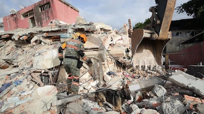 A Mexican Army rescue worker and his dog search the rubble of a building in La Guaira. EPA