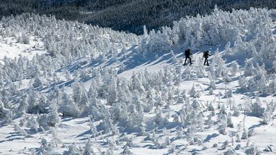 A pair of hikers walk through a forest of rime ice-covered spruce trees on the eastern slope of Mt Marcy, New York. AP