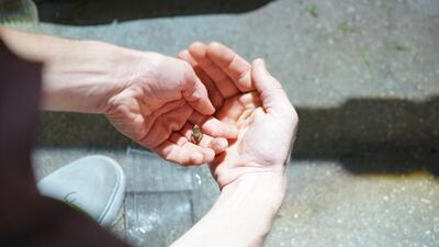 Visitors to the Lowline in New York get a look into what the future holds for urbanisation. Courtesy of the Lowline