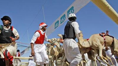 In a region that has become synonymous with glamorous F1 races, seven-star hotels and the world's tallest skyscraper, the centuries-old sport of camel racing remains a fixture.