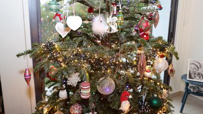 The Christmas tree in the living room