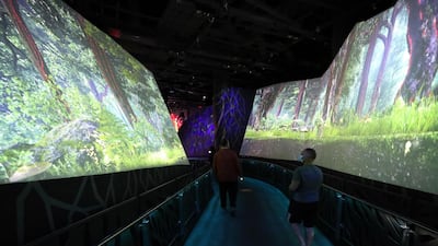 Visitors in the forest section of the pavilion.