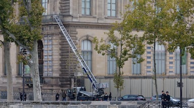 A ladder three thieves used to break into the Louvre in Paris last year. EPA
