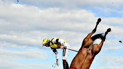Jockey Conor Orr falls from Castlebellingham during a steeplechase at Fairyhouse Racecourse in Ratoath, County Meath, Ireland. Getty