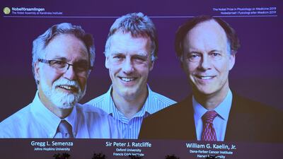 The winners of the 2019 Nobel Prize in Physiology or Medicine from left to right Gregg Semenza of the US, Peter Ratcliffe of Britain and William Kaelin of the US appear on a screen during a press conference at the Karolinska Institute in Stockholm, Sweden. AFP