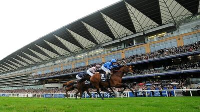 Silvestre De Sousa celebrating as he rides Farhh to win The QIPCO Champion Stakes at Ascot on Saturday. Charlie Crowhurst / Getty Images