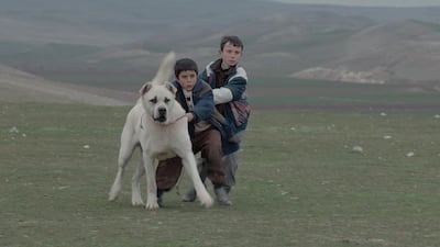 A scene from the Turkish Film Sivas by Kaan Mujdeci, screening at the 2014 Abu Dhabi Film Festival. Courtesy Abu Dhabi Film Festival