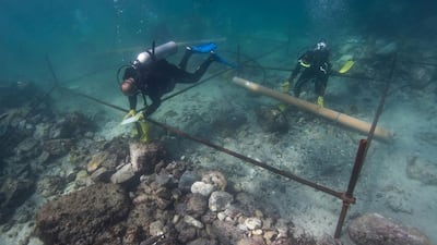 Divers excavate the wreck site off the coast of Al Hallaniyah island in Oman's Dhofar region. Blue Water Recoveries company via AP