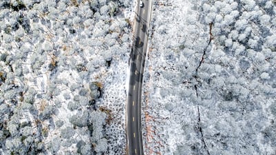 Snow blankets Jezzine, south of Beirut. Photo: Rami Rizk