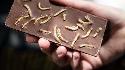 Chocolate containing insects at the stand of the International Centre of Insect Physiology and Ecology Nairobi during the last day of the International Green Week IGW in Berlin, Germany, 28 January 2018. Clemens Bilan / EPA