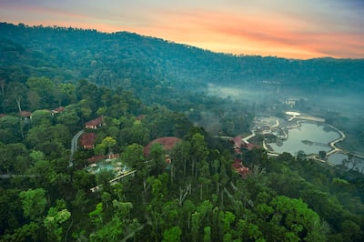 Spread across 30 hectares, the property began life as a coffee plantation and has resisted the temptation to manicure away its origins. Photo: The Leela Coorg Forest Sanctuary