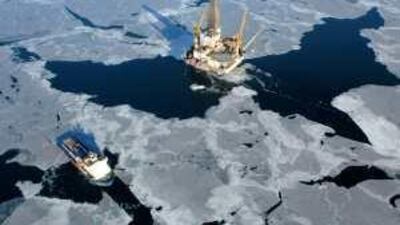 Analysts ponder whether some of the old forecasts for oil prices are about to be vindicated, or whether the current volatility will run its course.