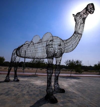 The Masdar Park camel art installation in Masdar City, Abu Dhabi. Victor Besa / The National