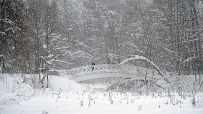 A woman stands on a snow-covered bridge in Ostafyevo park in Moscow, Russia. Maxim Shipenkov / EPA