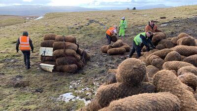 Coir from coconuts is being sent to England from Sri Lanka to help combat climate change. Jenny Sharman