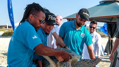 Slaughtered for their eggs, meat, skin, and shells, sea turtles suffer from poaching and over-exploitation. Victor Besa / The National