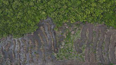 Runner Up, Young Mangrove Photographer of the Year, Katta Devi Sri Kalyan, India. Photo: Katta Devi Sri Kalyan / Mangrove Photography Awards