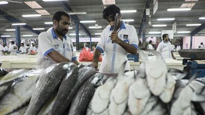 Shark sales in UAE fish markets are strictly regulated. Antonie Robertson / The National