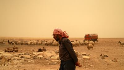 The UN's Food and Agriculture Organisation says the 210,000 tonnes of wheat grain produced in Hasakeh province during the 2020-2021 winter cropping season were only 26 per cent of the previous year.