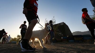 Pets and their owners walk towards the start line in the morning light.
