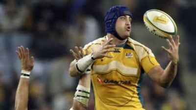 Australia lock Nathan Sharpe injured himself during a routine training drill.