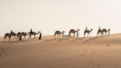 The men and women, aged between 18 and 35 and drawn from 35 nationalities, will use traditional transport to travel across the desert. Photo: Emirates Foundation