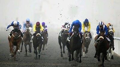 The development of thoroughbred horses has its roots in the Middle East. Every modern-day thoroughbred is descended from a horse that was from the region.