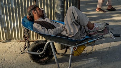 An Afghan man naps in a wheelbarrow. Photo: AFP