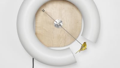 Cuckoo, James Auger, © HEAD – Genève, Annik Wetter