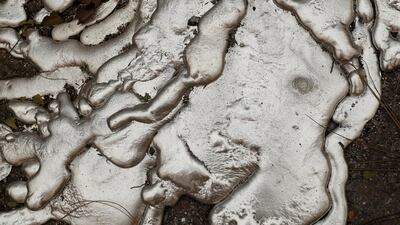 Melted metal from an abandoned car destroyed by the Camp Fire is seen in Paradise. Reuters