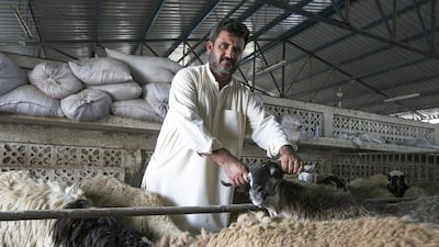 Livestock trader Fazal Bakht says prices for local breeds have jumped with overseas animals in short supply. Mona Al Marzooqi / The National