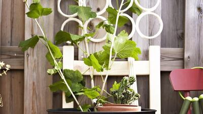 Socker plant pot. Courtesy of Ikea