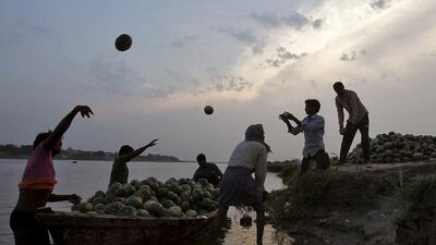 Farmers unload pumpkins from a boat on the banks of the river Ganges in the northern Indian city of Allahabad. Jitendra Prakash / Reuters