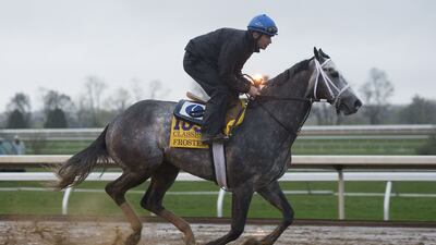 Frosted runs down the track at Keeneland Racecourse during the Breeder's Cup workouts. Dylan Buell / Getty Images