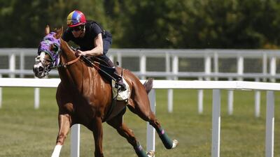 Frankie Dettori riding California Chrome turn right into the straight in a gallop prior to racing at Royal Ascot at Ascot racecourse on Thursday. Alan Crowhurst / Getty Images