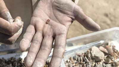 A new water flotation system is being used that separates ancient seeds; plant remains; and other archaeological material such as charcoal and bone fragments from trench sediment.