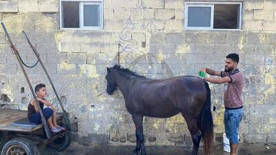 A Palestinian man washes his horse at Beach refugee camp in Gaza City. Reuters