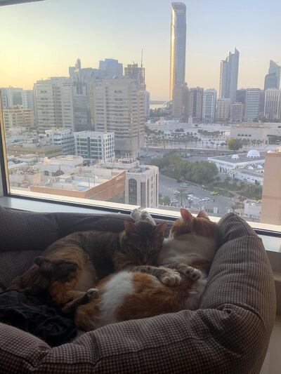 Tiny and Zabeeb. Courtesy Evelyn Lau