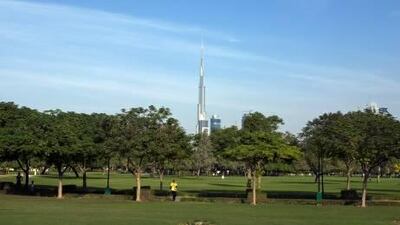 The Public Parks and Horticulture Department will increase the size of park area in the urban core of Dubai to 4 per cent of surface area, representing 12.5sq metres of green space per resident. Above, Al Safa Park in the Al Wasl neighbourhood in Dubai.