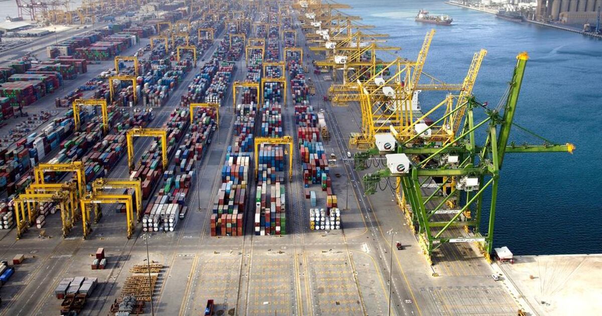 Dpw Container Perth DP World volume container handling rises 9% | The National
