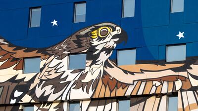 The migratory saker falcon spends its winters in the Arabian Peninsula.