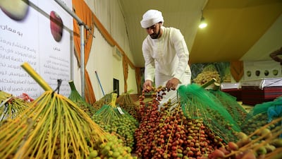 Abdullah Al Mazrouei inspects bunches of dates ahead of judging on the opening day of the Liwa Date Festival. Ravindranath K / The National