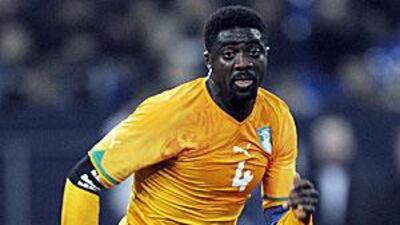 The Ivory Coast defender Kolo Toure hopes the Elephants can finally fulfill their potential.