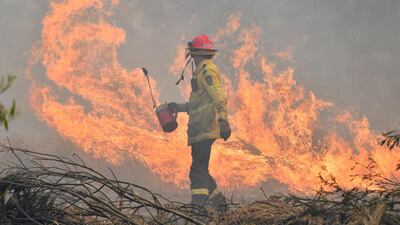 A New South Wales Rural Fire Service (NSW RFS) firefighter back burning on Long Gully Road in the northern New South Wales town of Drake, Australia, in September 2019. The bush fires continued to rage for several more months. EPA